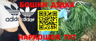 шишки Бузулук