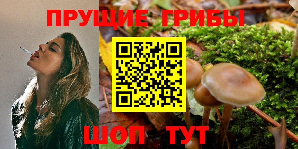 Галлюциногенные грибы ЛСД  Вход с VPN  Северск 